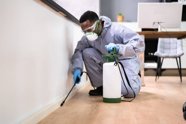 Best Pest Exclusion Services  in South Russell, OH